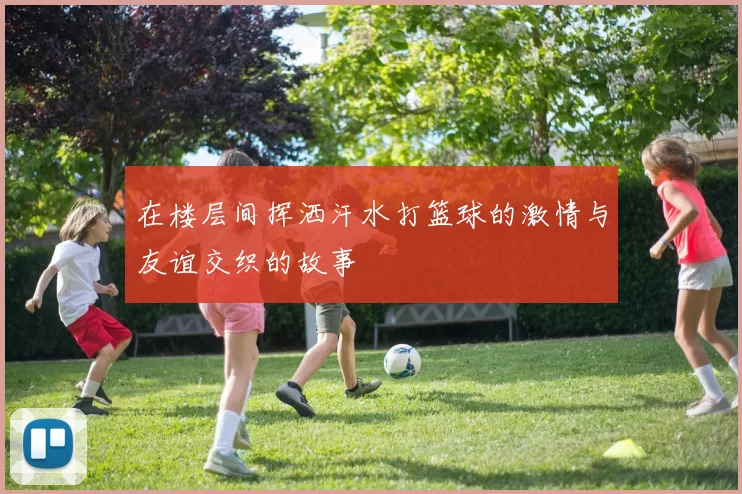 在楼层间挥洒汗水打篮球的激情与友谊交织的故事