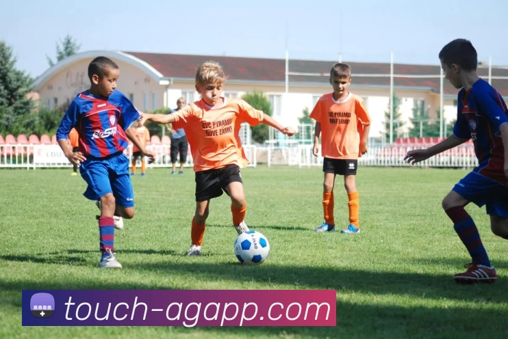 真人平台服务体系